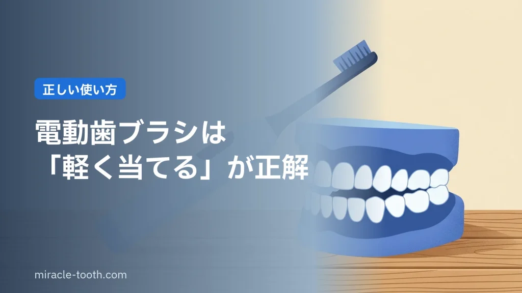 電動歯ブラシの正しい使い方(歯の模型と45度に当てたブラシ)