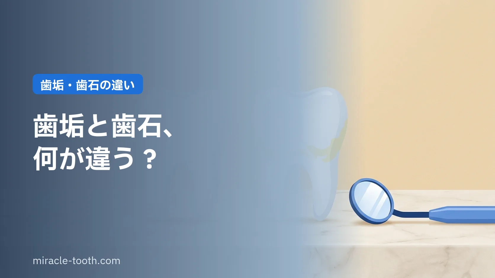 歯垢と歯石の違いとは?歯石になる前に落とすセルフケアのコツ